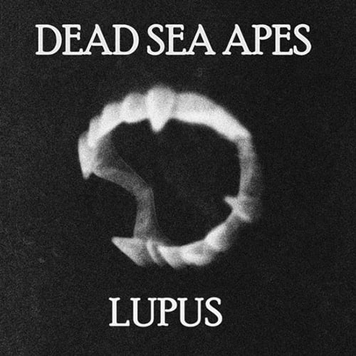 Image of Dead Sea Apes / Lupus