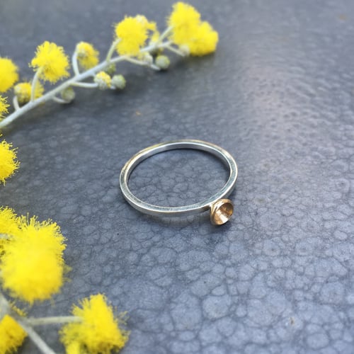 Image of Acacia Solitaire