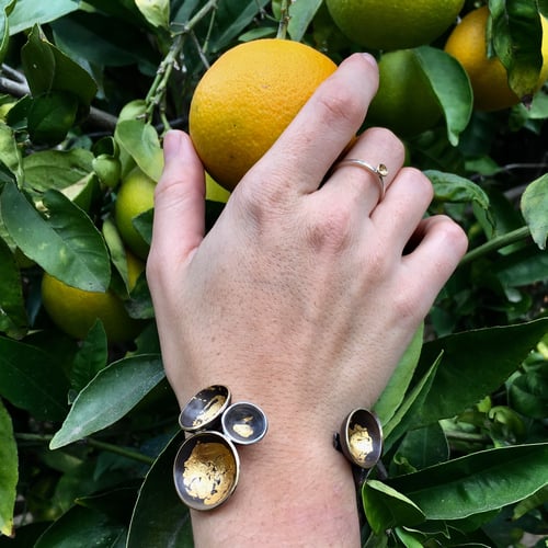 Image of Acacia Solitaire