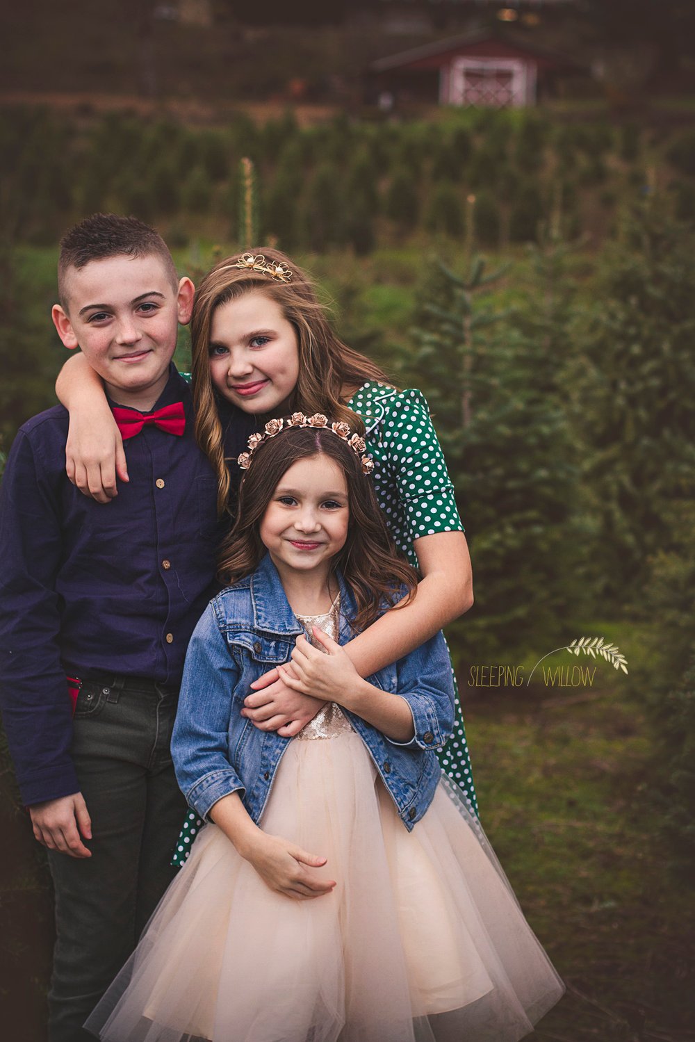 Image of Reserved for Audrey