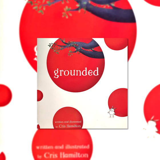 Image of Grounded - another picture book
