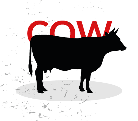 Image of Whole Cow