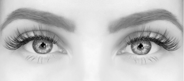 Image of $50 GIFT CERTIFICATE | THE LASH BAR  |  NORWELL, MA