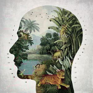 Image of Perfil Tropical 2