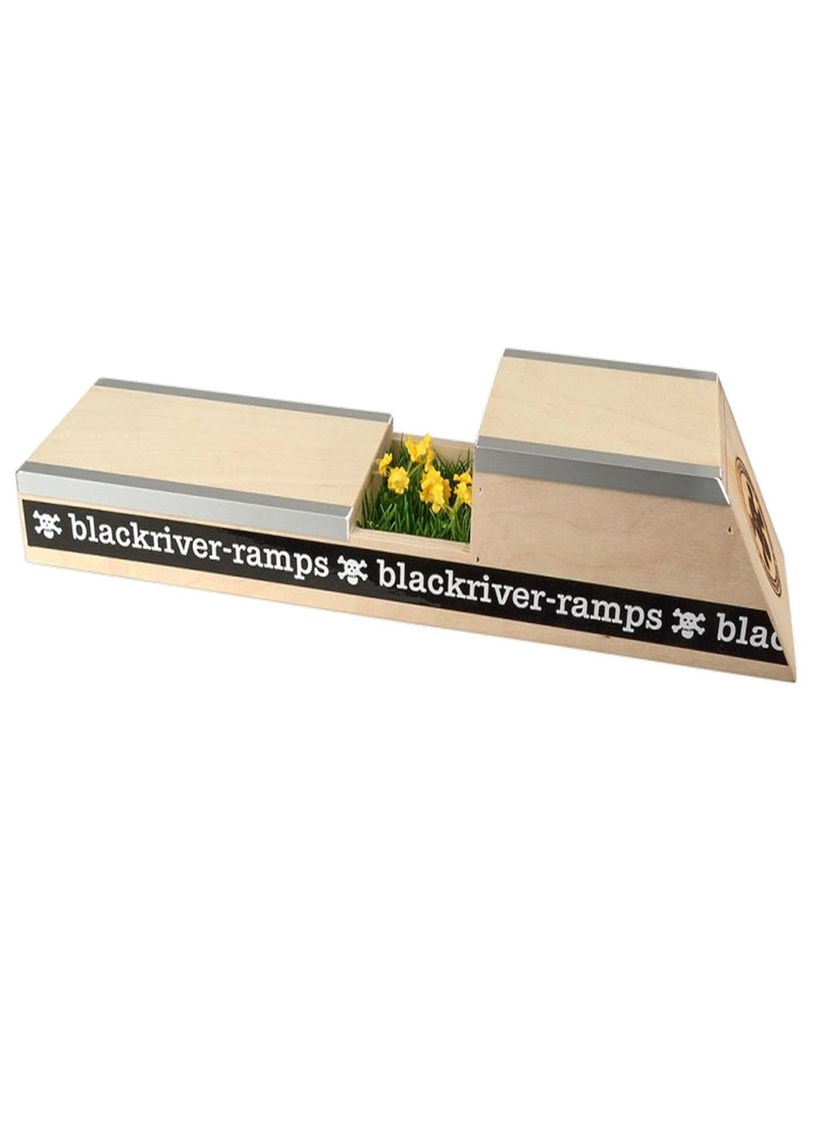 blackriver mini ramp