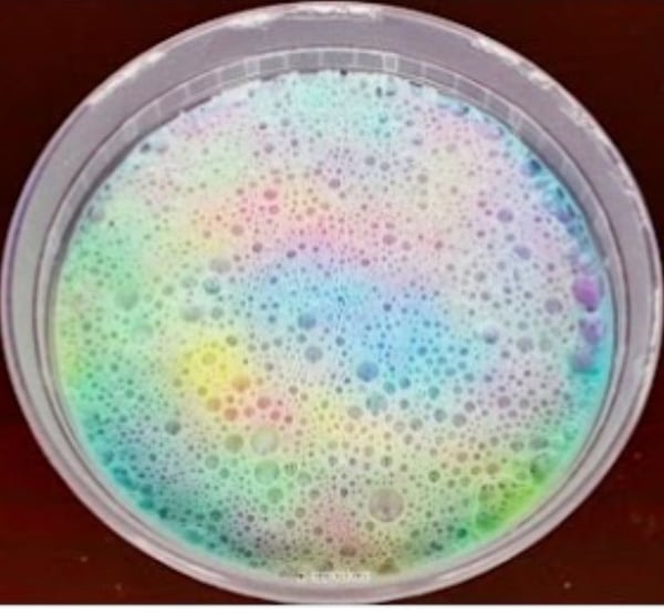 Image of Rainbow