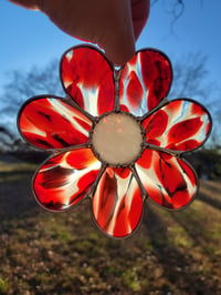 Image of Red and White Flower