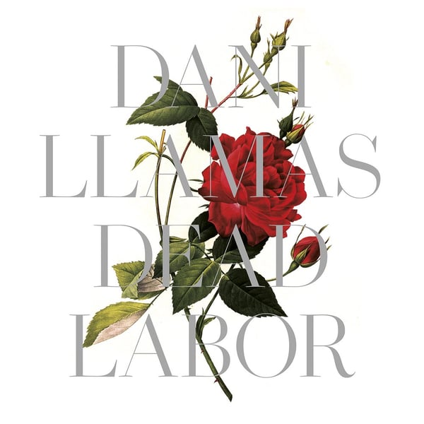 Image of Dani Llamas "Dead Labor" (Lp + DLC)