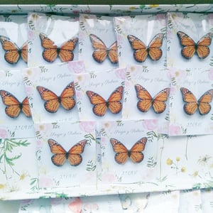 Image of Broches mariposa variadas