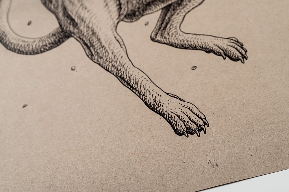 ' Unknown ' Cardboard Limited Edition