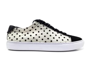 Image of Domino Plebeian