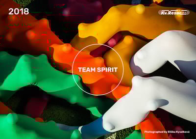 Image of CALENDAR 2018 - TEAM SPIRIT by Eliška Kyselková