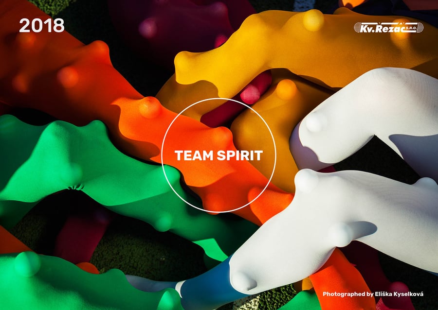 Image of CALENDAR 2018 - TEAM SPIRIT by Eliška Kyselková