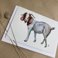 Image 2 of Watercolour Cards