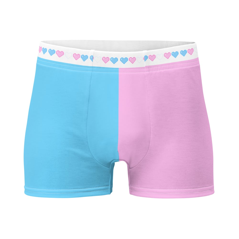 Image of TRANS RIGHTS Boxer Briefs