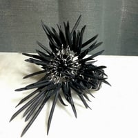 Image 5 of BLACK URCHIN | Respire V.2