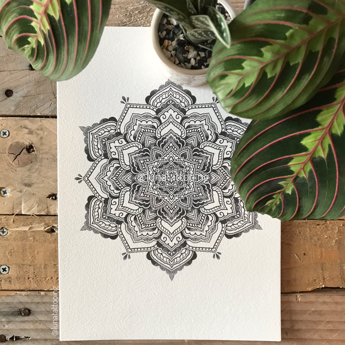 Image of Dotwork Mandala