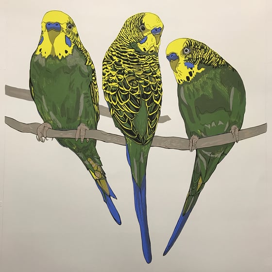 Image of Budgerigars screen print
