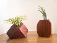 Faceted Wood Cedar Air Plant Holder