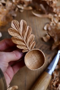 Image 5 of Oak Leaf-Coffee Sccop 