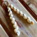Image of Long and lovely Hawaiian white pipipi shell earrings