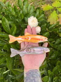 Image 5 of Palomino Trout