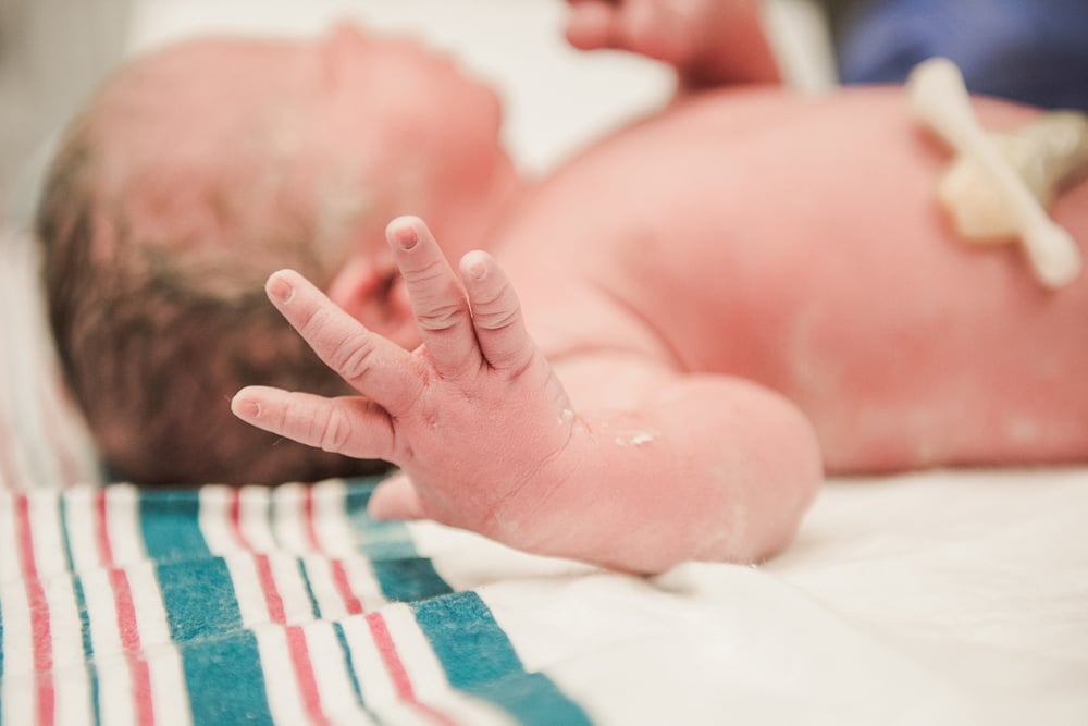 Image of birth session date retainer ($1200)
