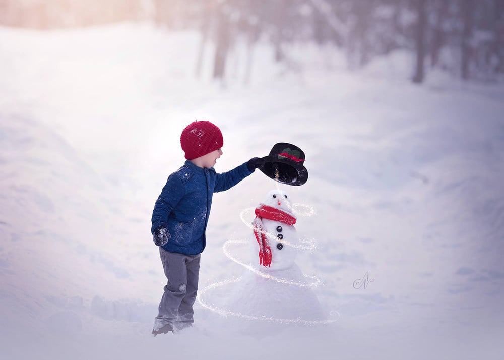 Winter Wonderland Mini Set Shoot For The Moon Images Product Shop