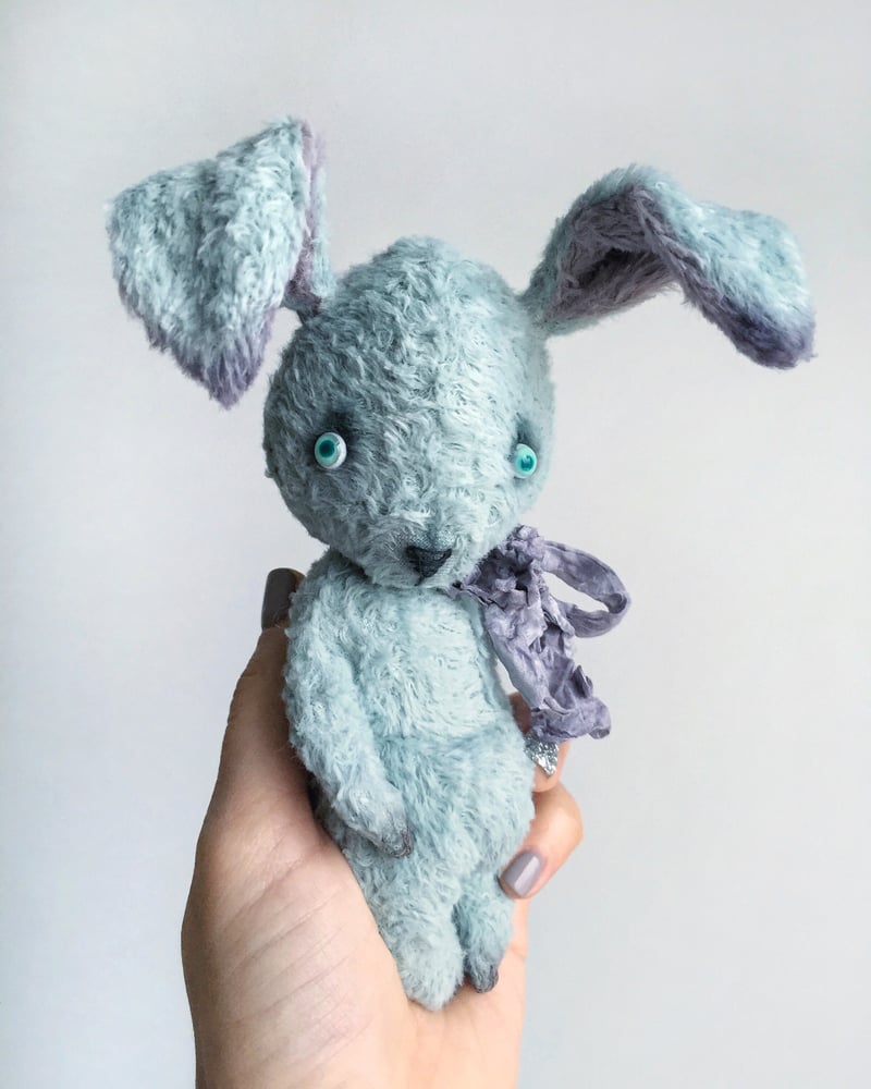 Small chunky bunny is looking for home ♥