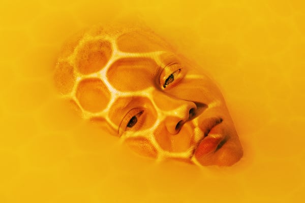 Image of Honey Bee