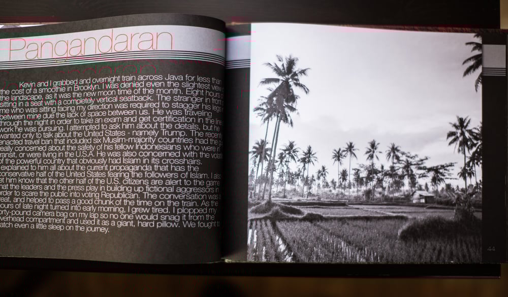 Image of Thick as thieves - Limited Edition Art book