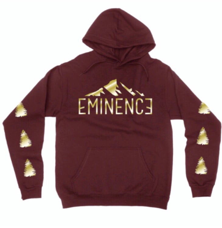 Maroon and outlet gold hoodie