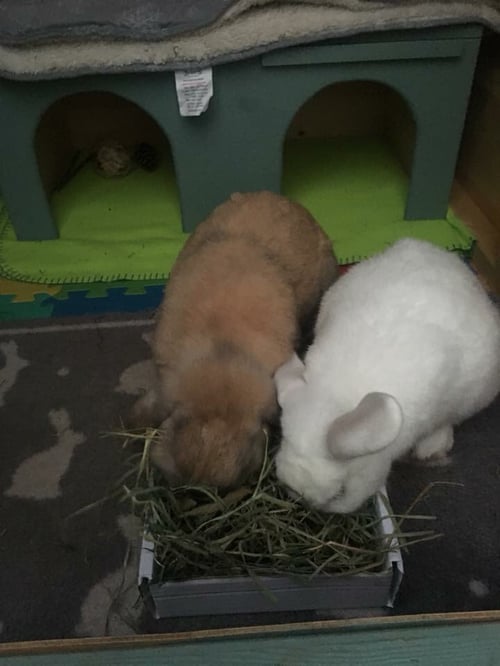 Image of Dried Delights mini taster pack