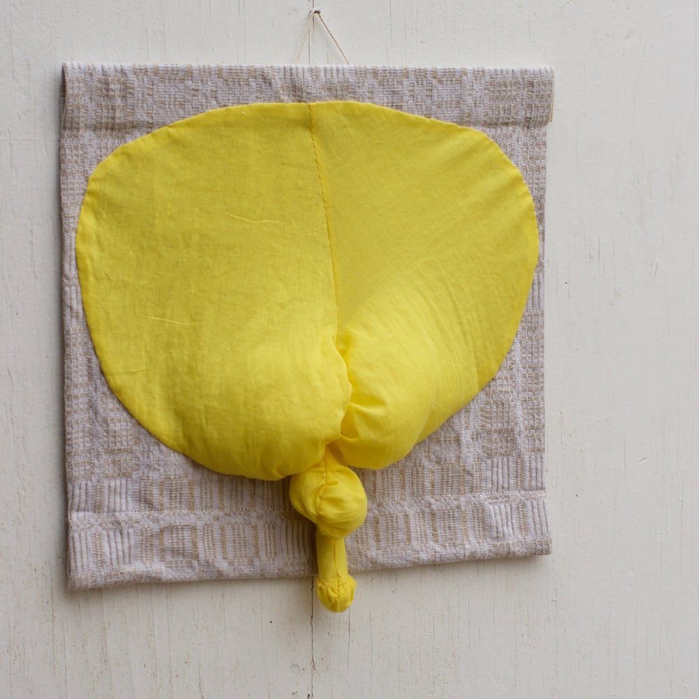 Image of butt wall hanging