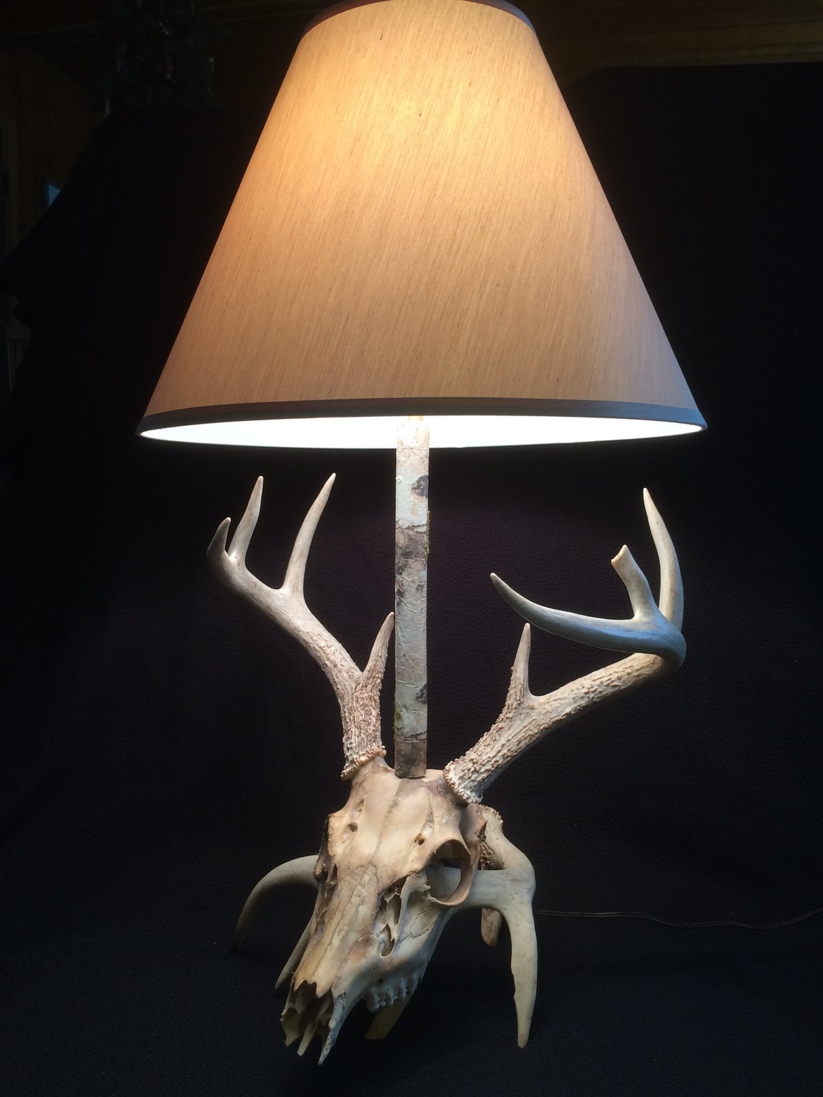 deer skull lamp