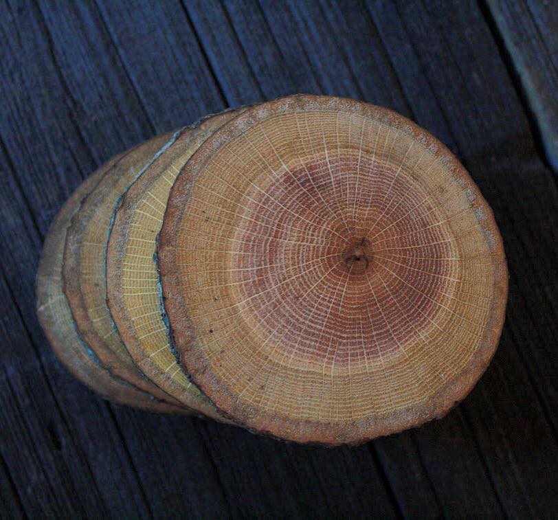 Image of Reclaimed Red Oak Coasters