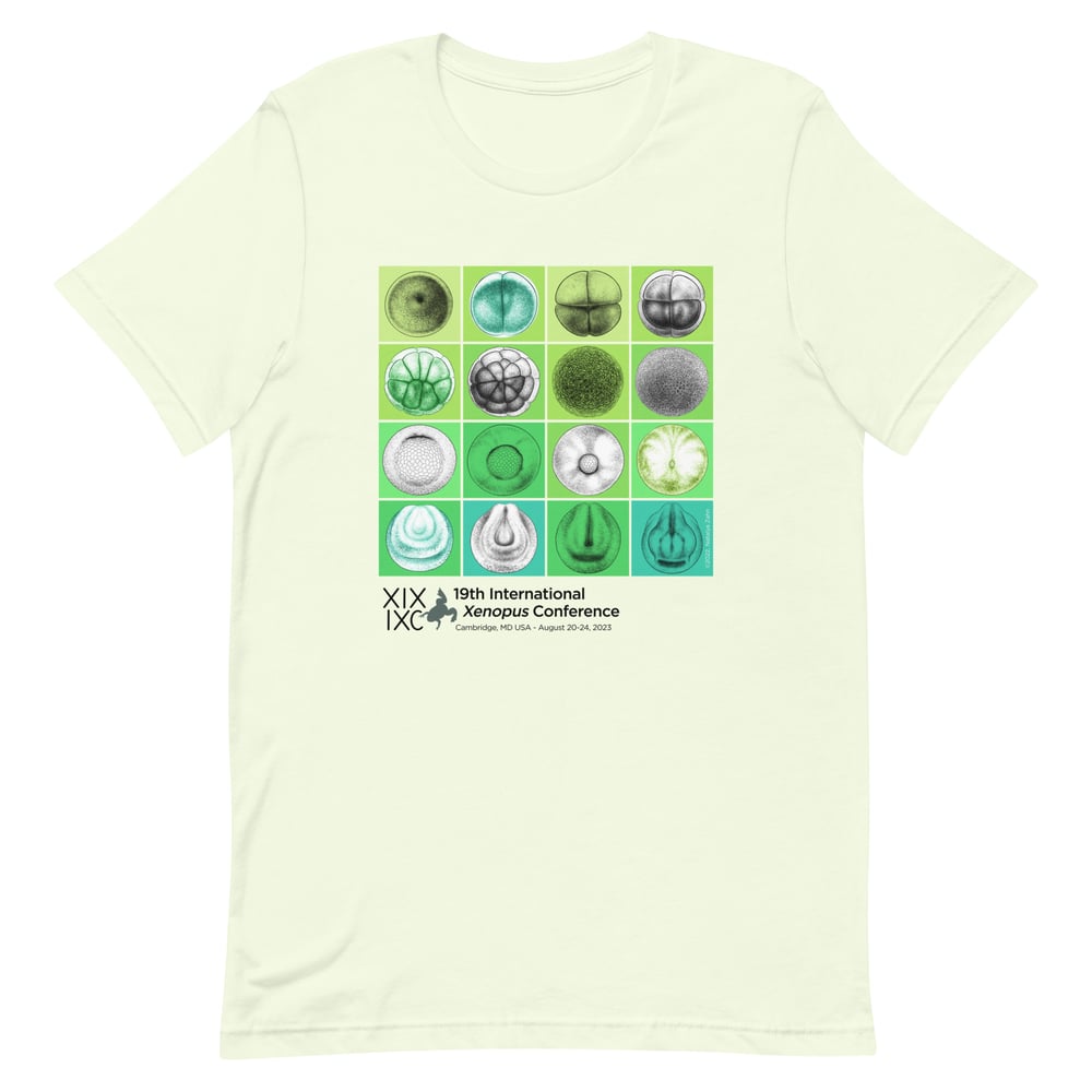 Image of XIXIXC Dev Grid Unisex T-shirt