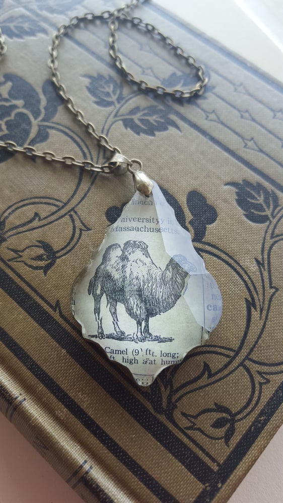 Image of Camel Vintage Dictionary Illustration & Slavaged Chandelier Crystal Necklace