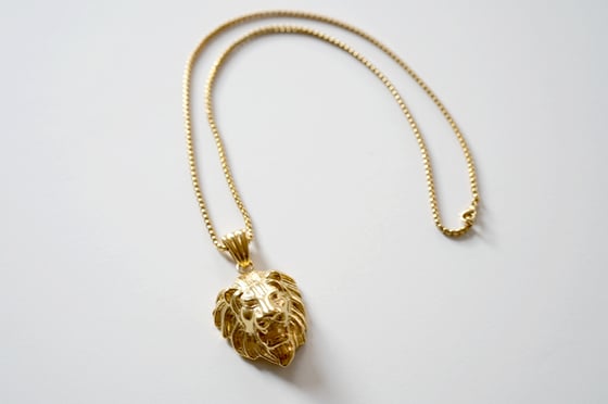 Image of Lion Head Pendant and Necklace
