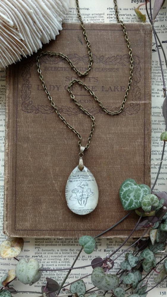 Image of Lotus Flower Vintage Botanical Illustration Pendant Necklace