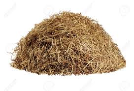 Image of Exquisite Driewd Grass ( 50 GRAMS)