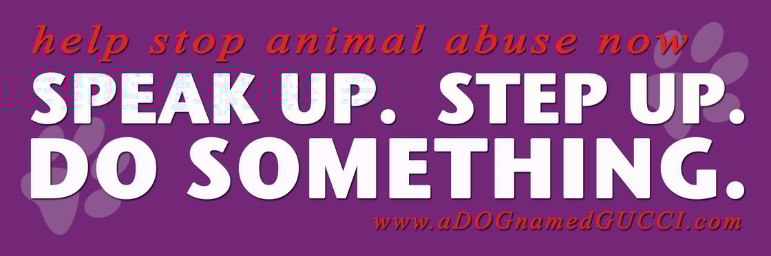 Image of A Dog Named Gucci DELUXE DVD