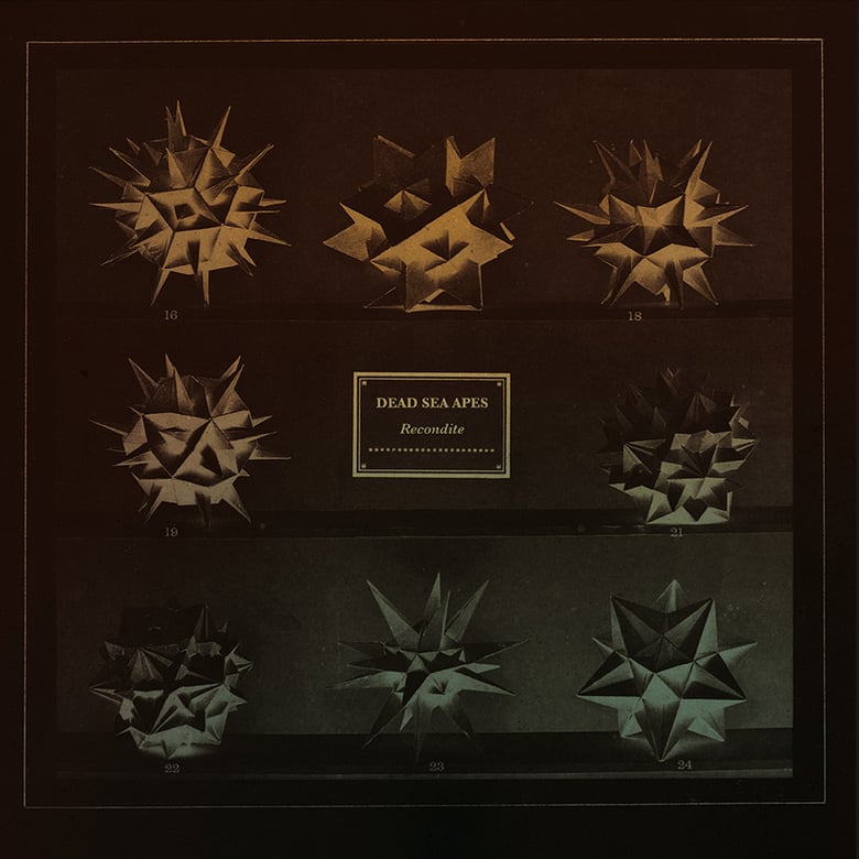 Image of Dead Sea Apes / Recondite