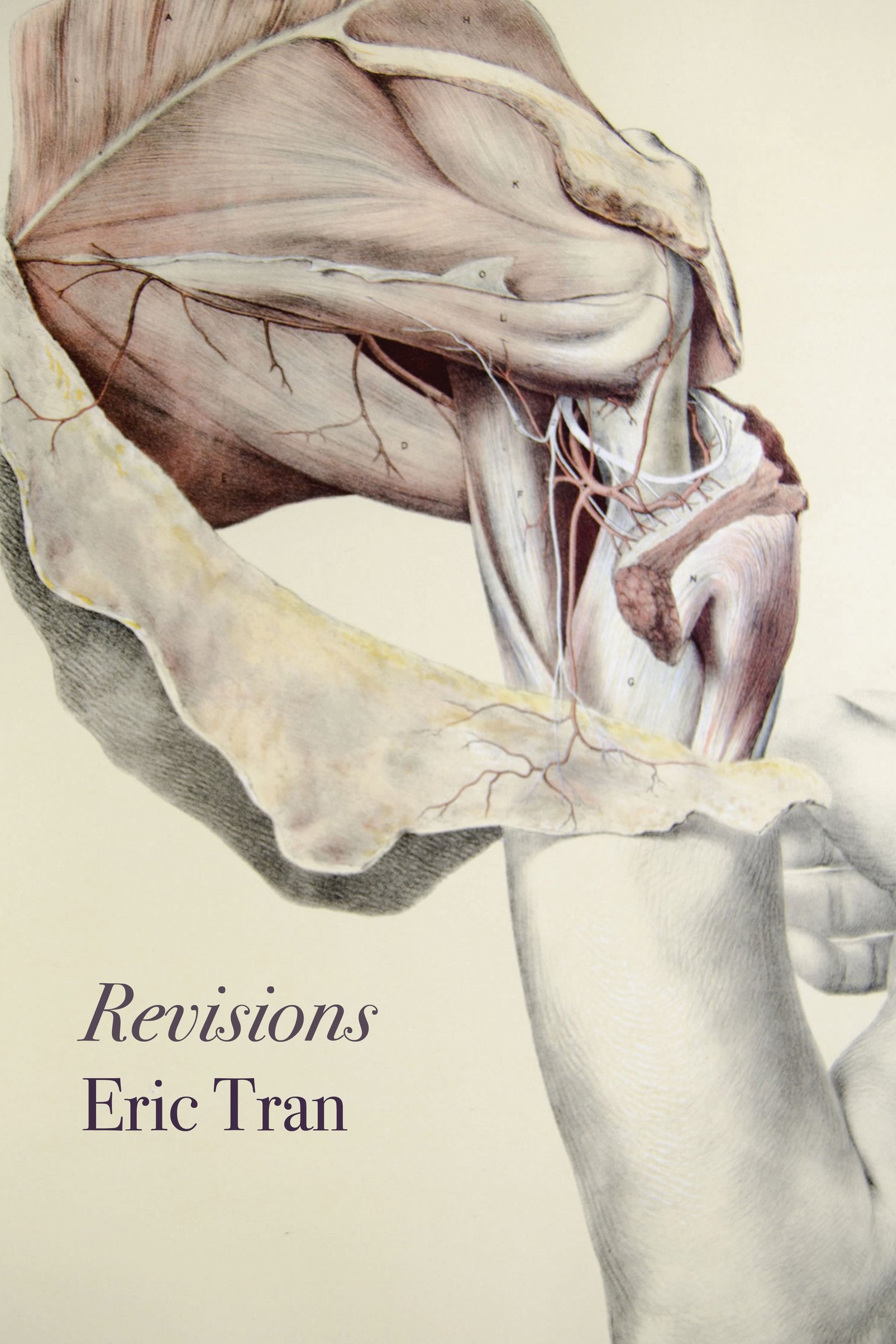Image of Revisions by Eric Tran