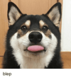 Specifically Bleps