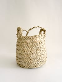 Image 4 of WOVEN HANGING POT