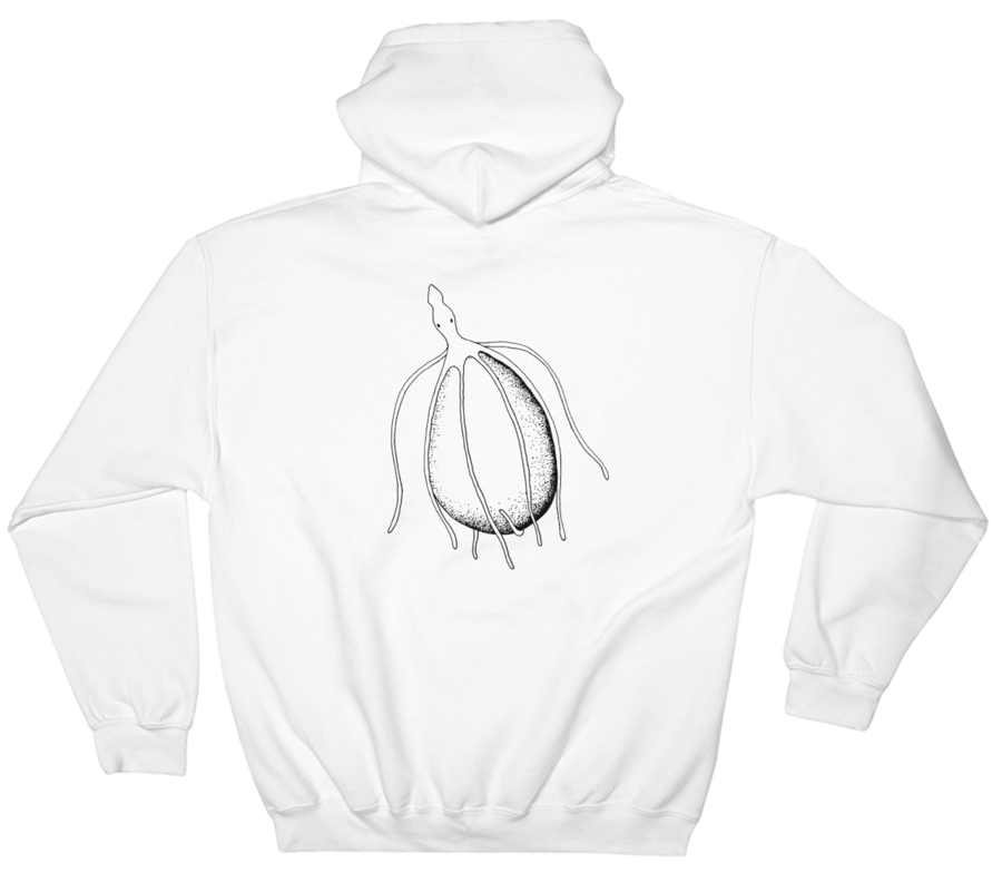 Image of Squid Print Beluga (White)