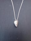 Conicle Shell Necklace