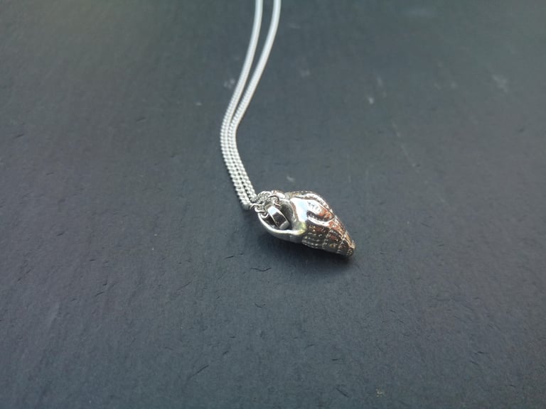 Conicle Shell Necklace Image 3
