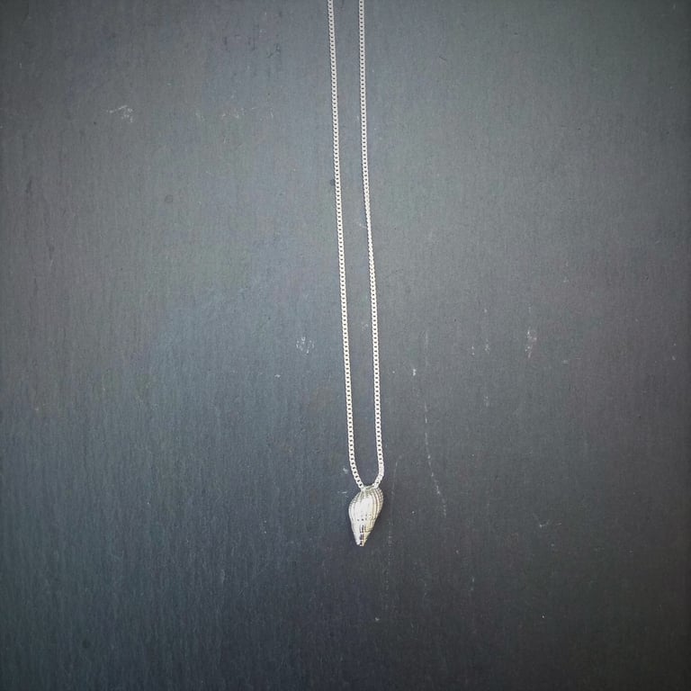 Conicle Shell Necklace Image 4